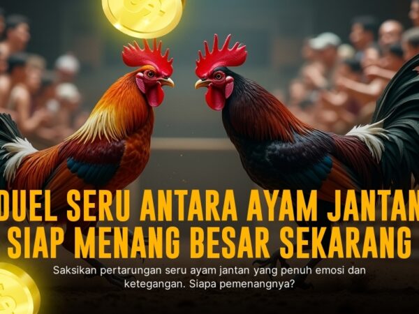 Mengenal Jenis-Jenis Ayam Aduan dalam Sabung Ayam SV388