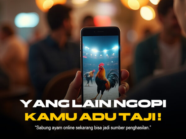 Mengenal Ayam Bangkok: Raja Sabung Ayam di SV388