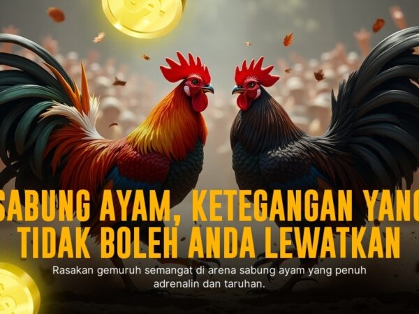Mengenal Sabung Ayam SV388: Jenis Ayam dan Cara Taruhan Odds-nya